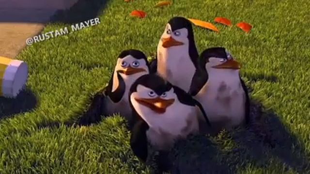 ПОЛОСАТЫЙ ИШАК: МАДАГАСКАР — СМЕШНАЯ ОЗВУЧКА ОТ Джавида смотреть онлайн