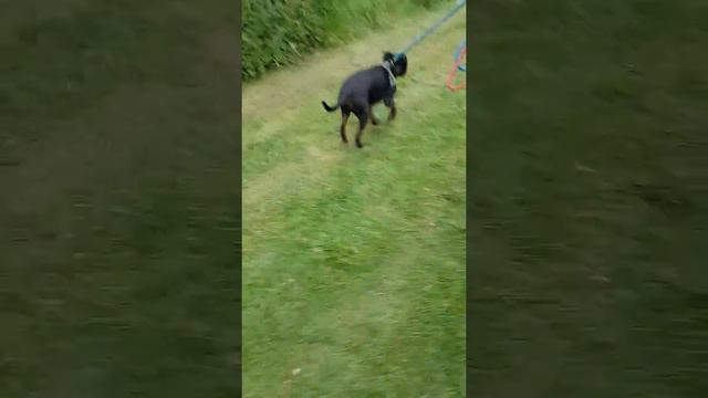 Theo 4 weeks after injury 3 смотреть онлайн