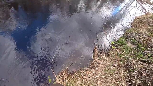 Много рельс и ловля трака в канале. Первая тонна в этом году! смотреть онлайн