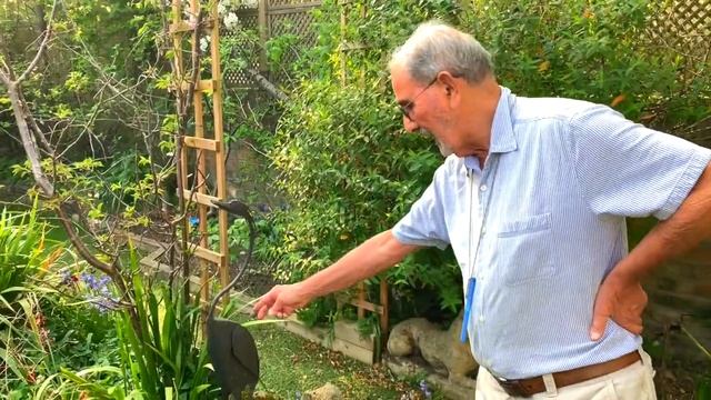 The Crane смотреть онлайн