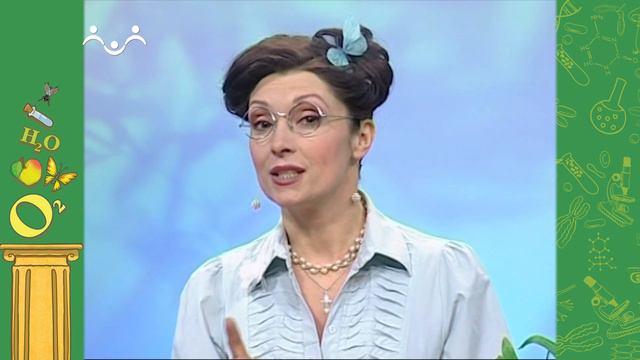 АЗН. Биология. Как вырастить дома ананас? Почему лягушка квакает? Почему киты выбрасываются на бере смотреть онлайн