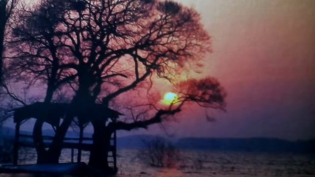 Самое первое видео;-) смотреть онлайн