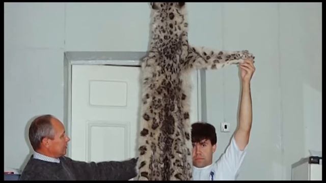 Снежный барс. Одинокий дух гор смотреть онлайн