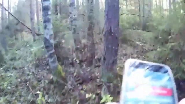 Как НЕ ЗАБЛУДИТЬСЯ в ЛЕСУ ПРОВЕРЕНО смотреть онлайн