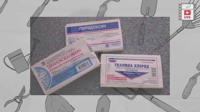 Использование витаминов и садоводстве. Нужно или нет? смотреть онлайн