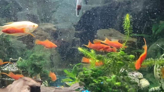 Про перемены в жизни, бизнесе, политики смотреть онлайн