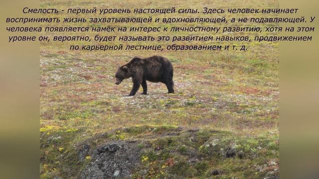 Уровни сознания смотреть онлайн