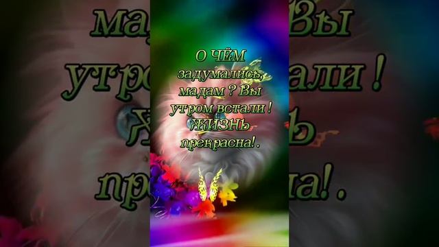 О чём задумались, мадам?