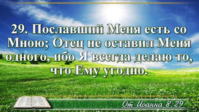 Евангелие от Иоанна с музыкой глава 8 читаем и слушаем смотреть онлайн