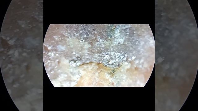Камень с Чёрного Моря Под Микроскопом #youtubevideo #microscope