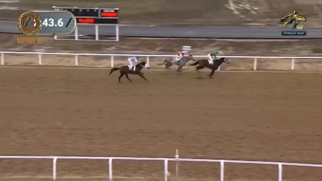 Чеченская Республика город Грозный Ипподром Сайд-Хуссейна Закаева возле Посёлка Мичурина и Гикало смотреть онлайн