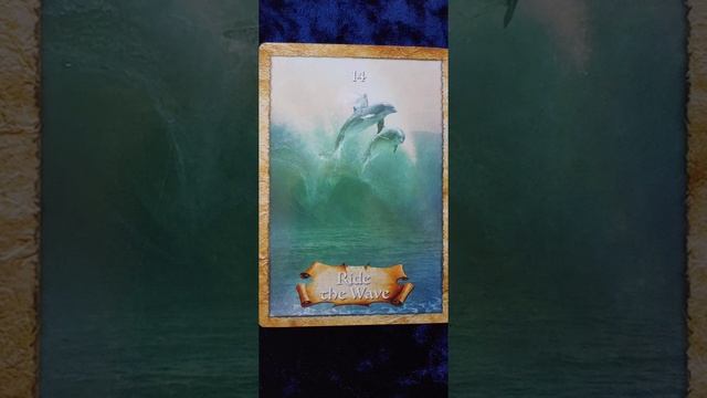 Ride the Wave ?️ The Enchanted Map Oracle card meaning смотреть онлайн