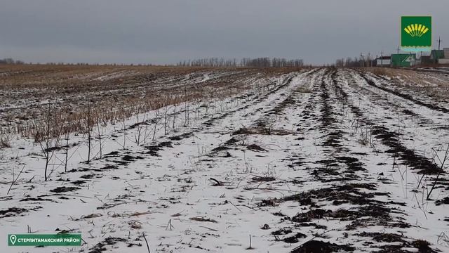 Год эстетики:Октябрьский сельсовет смотреть онлайн