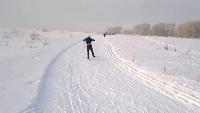 Техника конькового хода смотреть онлайн