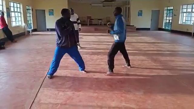 pioneer taekwondo club смотреть онлайн