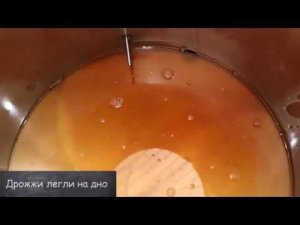 Варка, брожение, розлив пива в домашних условиях