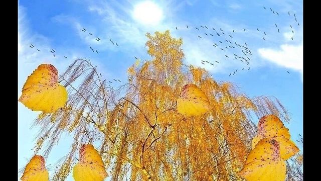 Красивая любовь, Осенняя пора смотреть онлайн