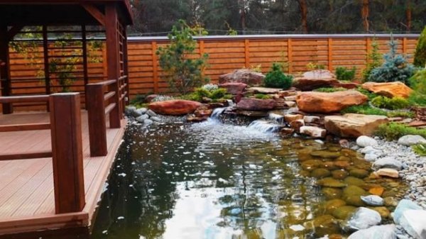77 Amazing Ideas For A Small Garden Pond | Backyard Pond | Pond Design Ideas