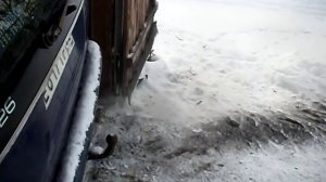 троит двигатель и черный дым из трубы