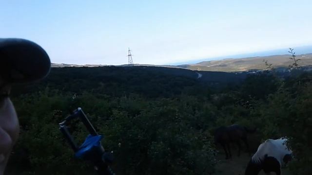 Крым. По румынской дороге. Часть 3. Возвращение. Лошади. смотреть онлайн