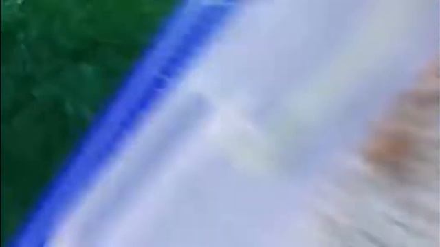 Бизнес на личинках! лайфхаки как заработать не плохие деньги! смотреть онлайн