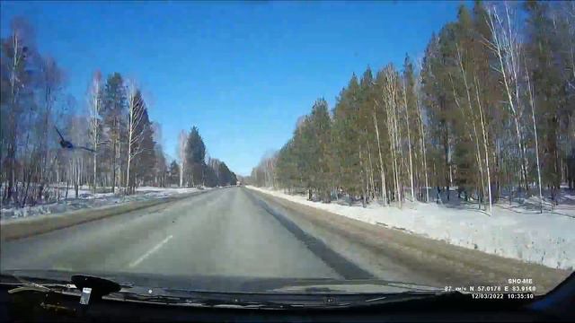 Дорога с.Монастырка Шегарский р-н- д.Старосайнаково Кривошеинский р-н Томская область 03.2022 смотреть онлайн