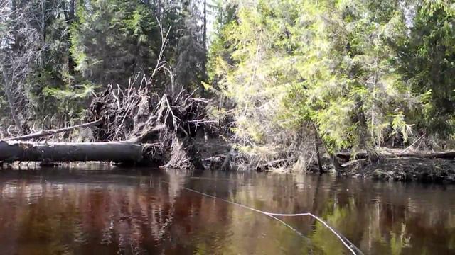 майский хариус смотреть онлайн
