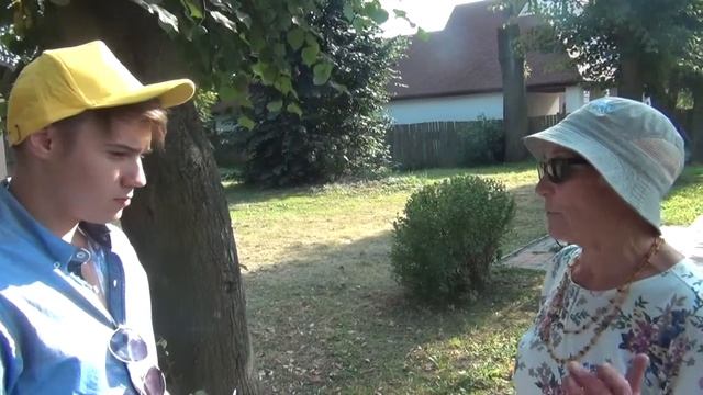 Нестеров, Лесная 4. Дому необходим ремонт ( поломанная черепица, текущая крыша) смотреть онлайн