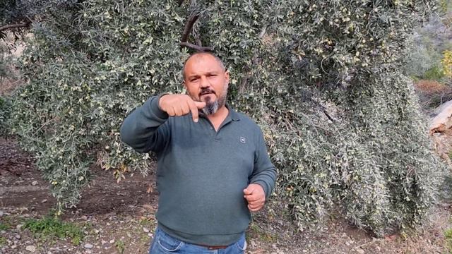 BORDO bulamacı'mı GÜLLECİ bulamacı'mı kullanmalıyız #tropikaltopraktv #tarım смотреть онлайн