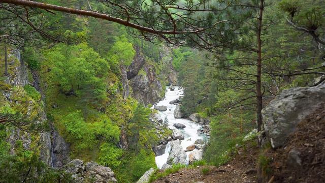 Горная река. Дигория, РСО-Алания (Digoria, RNO-Alania) 4K