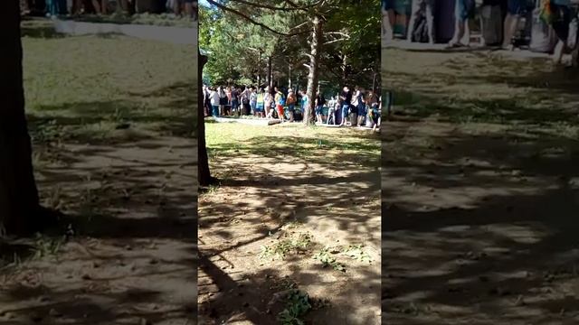 Вылет на самолёте Благовещенск Нячанг! смотреть онлайн