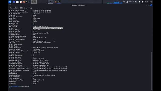 Cat Picture 2 CTF Walkthrough - TryHackMe смотреть онлайн