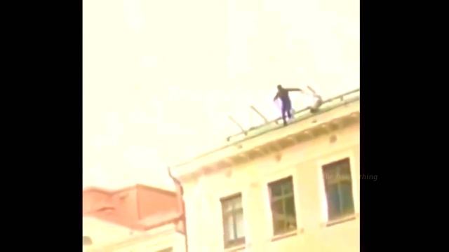 Слон пристает к девушке на пляже и не только. Смешные приколы. смотреть онлайн