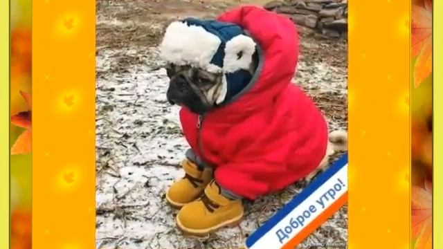 Настало лето! Не мерзни! (юмор, песня) смотреть онлайн