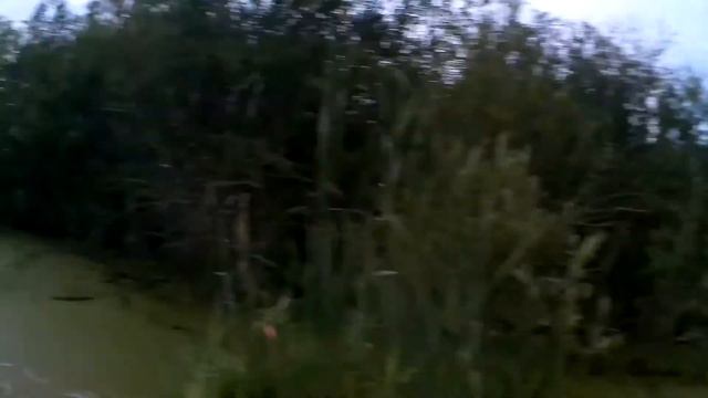 ОХОТА НА УТОК!!! ВЕЧЕРКА 15.08.2021 смотреть онлайн