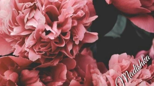 Вааа Ма Хаза ю Х1ар Эшар ?? Доьху хьога хьоменаг 2018?? Румиса Никаева