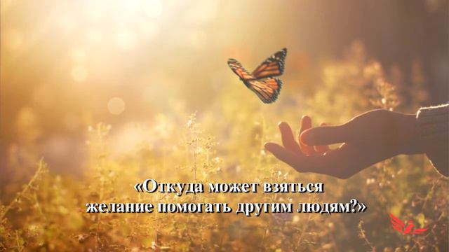 Откуда может взяться желание помогать другим людям? / Считывание смотреть онлайн