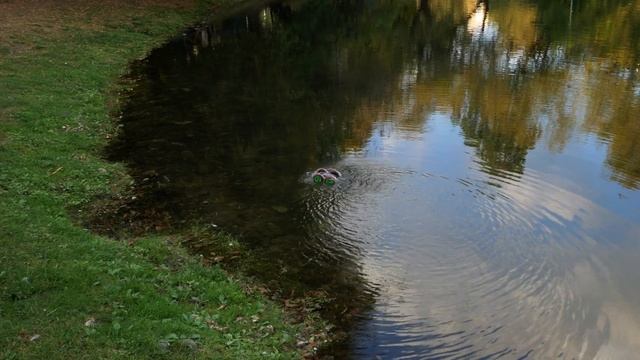 Тест драйв радиоуправляемого автомобиля-амфибия GizmoVine Rc смотреть онлайн