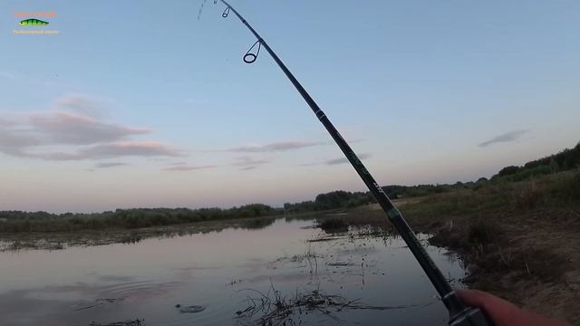 В ЖАРУ - РУЛИТ МОРМЫШИНГ ! )) ЖЕРЕХ НА МОРМЫШКУ ! Рыбалка на спиннинг. смотреть онлайн