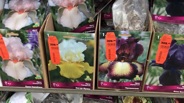 САД 2022.ИРИСЫ в Оби! Сибирские,Бородатые.....