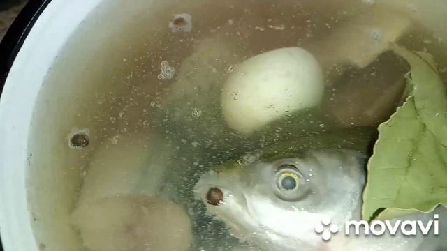 Вдохновение на Тарелке