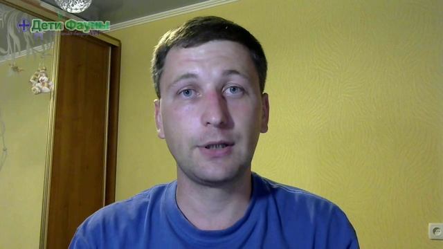 Породистые или дворняги? Почему дворняги не болеют? смотреть онлайн