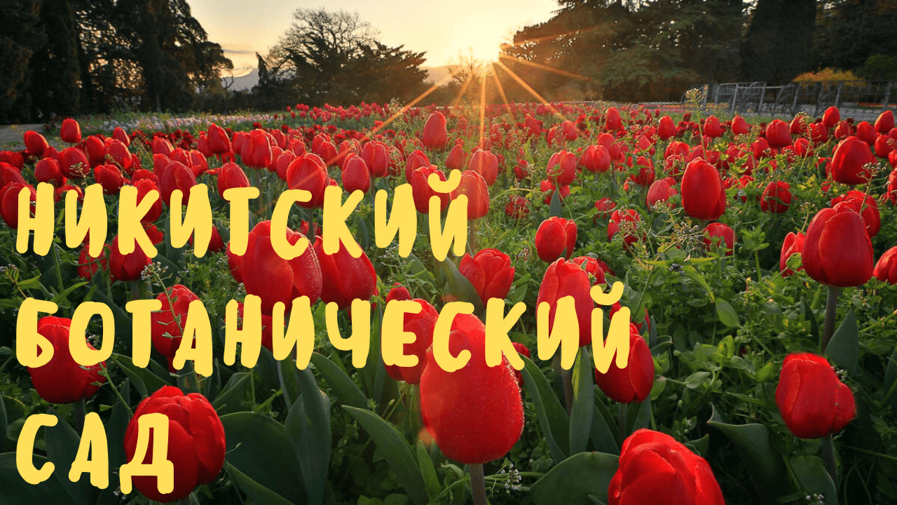 ЯЛТА 2021/Никитский Ботанический Сад/НБС/стоимость/как добраться смотреть онлайн