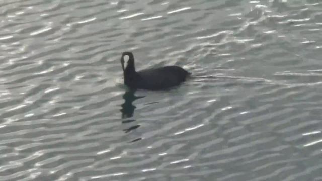 Геленджик. Наша первая рыбалка. смотреть онлайн