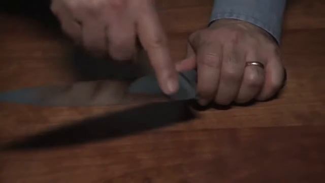 Электрическая ножеточка Chefs Choice CH120\Electric Knife Chefs Choice CH120