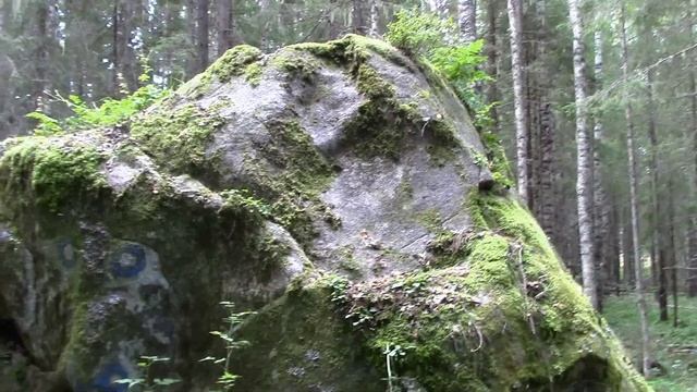 Валун-пирамида, что это? Малоизвестная достопримечательность Вологодской области. смотреть онлайн