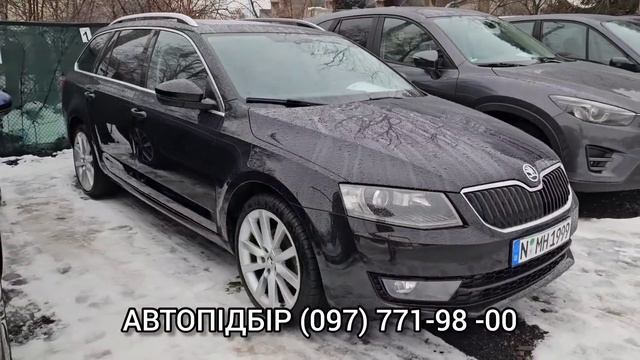 ЩО НОВОГО на ЛУЦЬКОМУ АВТОРИНКУ /// 25.01.2024 р. #автобазар  #автопідбір #авторинок #колорит