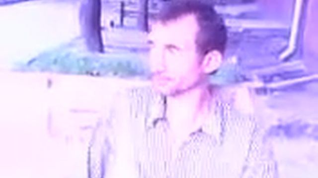 Копия видео Pevec Pig..c... смотреть онлайн