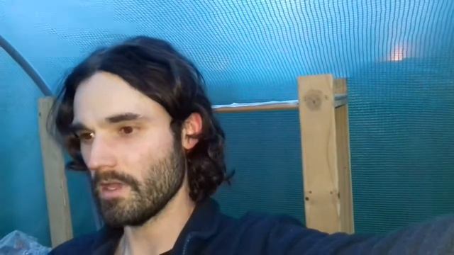 Come see these fantastic Sweet peas! Singing the Blues and Perfume Duet (Grandiflora). смотреть онлайн