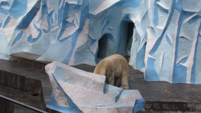 Кай и Герда сегодня скучают 21.04.18 смотреть онлайн